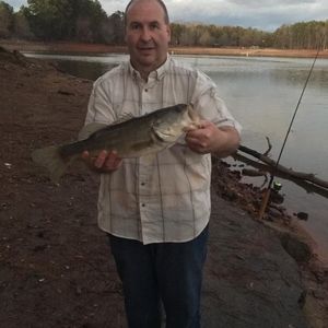 Meet your Posher, Donnie